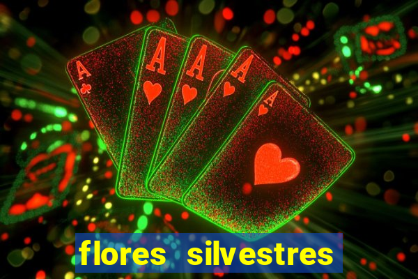 flores silvestres desbravadores desbravadores 25 flores silvestres e seus nomes